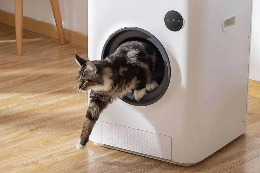 best automatic litter box multiple cats